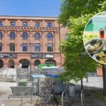 Best Restaurants in Bristol: Michelin Gems to Vegan Havens 2026