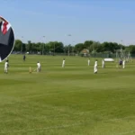 Steve Lansdown: Bristol City owner says they cannot do everything immediately