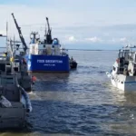 Why Is Alaska's Bristol Bay the Most Vital Salmon Ecosystem in the World