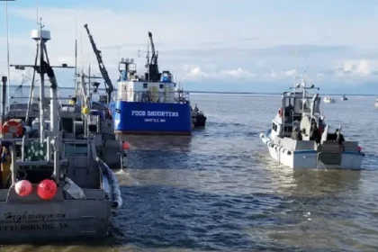Why Is Alaska's Bristol Bay the Most Vital Salmon Ecosystem in the World