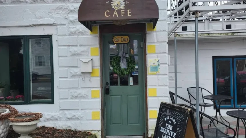 Why the Beehive Cafe Bristol Is a Top Waterfront Dining Destination