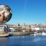 Bristol Landlords Still Reject Pets After 2026 Law Change – Bristol 2026