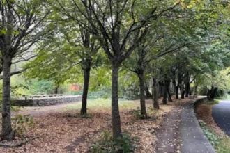 Cycling Routes in Bristol: Best Paths for Commuting and Leisure