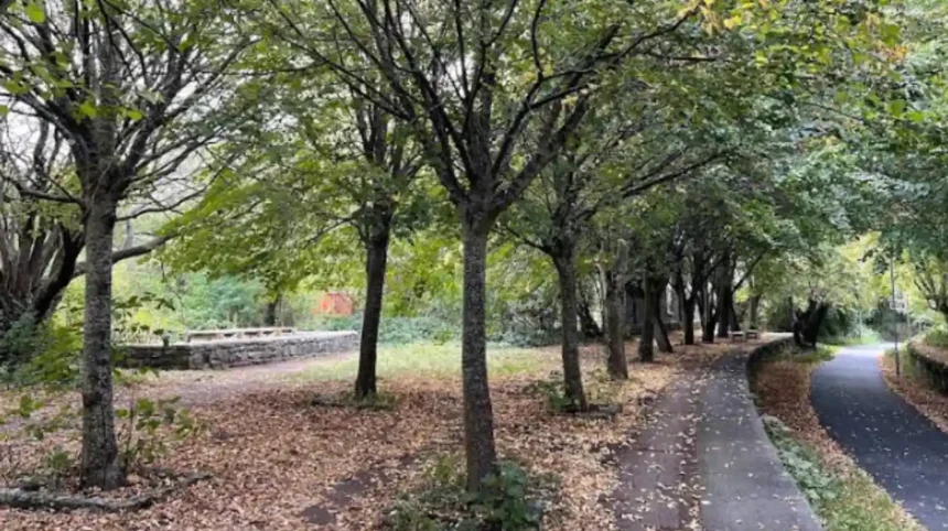 Cycling Routes in Bristol: Best Paths for Commuting and Leisure