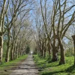 Green Spaces in Bristol: Complete Guide to Parks, Nature Reserves and Walking Routes