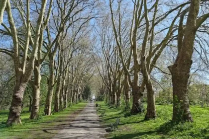 Green Spaces in Bristol: Complete Guide to Parks, Nature Reserves and Walking Routes