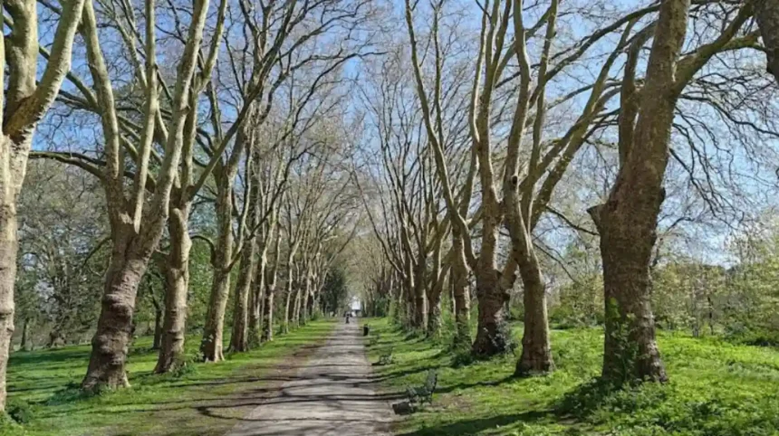 Green Spaces in Bristol: Complete Guide to Parks, Nature Reserves and Walking Routes