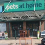 Pet-Friendly Places in Bristol: Complete Guide to Dog-Friendly Parks, Cafes, Pubs, and Hotels