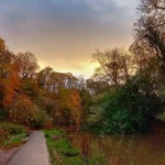 Walking Routes in Bristol: Best City, Park, and Riverside Trails