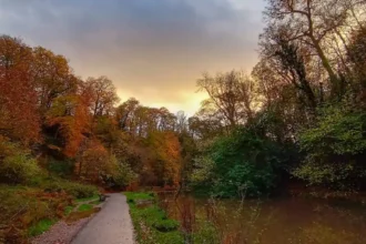 Walking Routes in Bristol: Best City, Park, and Riverside Trails