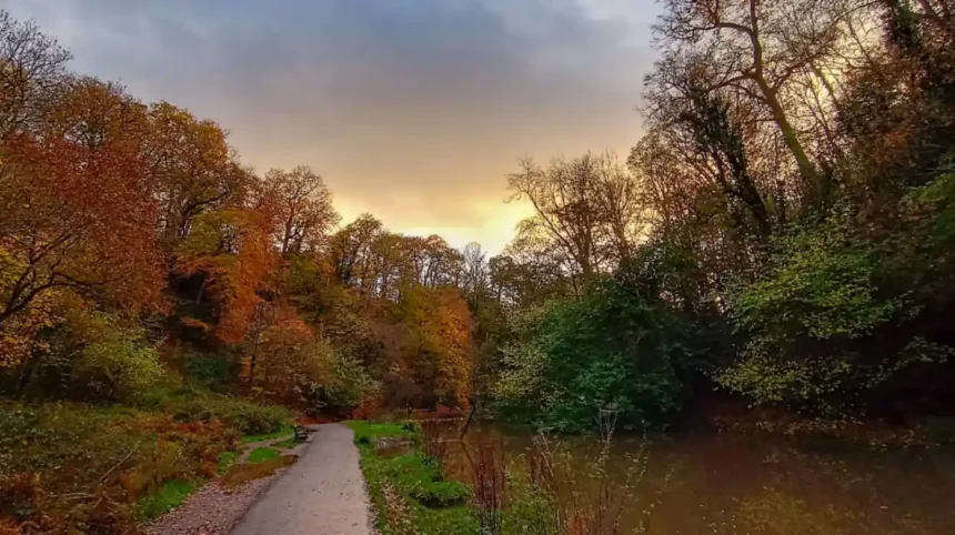 Walking Routes in Bristol: Best City, Park, and Riverside Trails