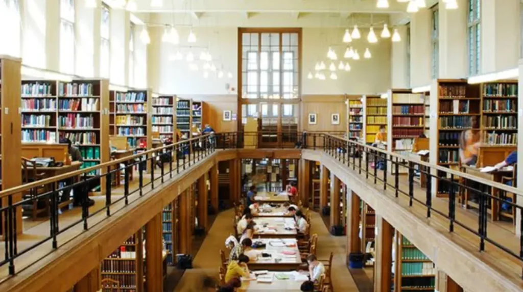 What Extracurricular Activities and Societies Are Available?