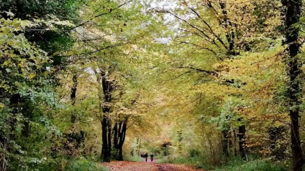 What are the best walking routes in Bristol?