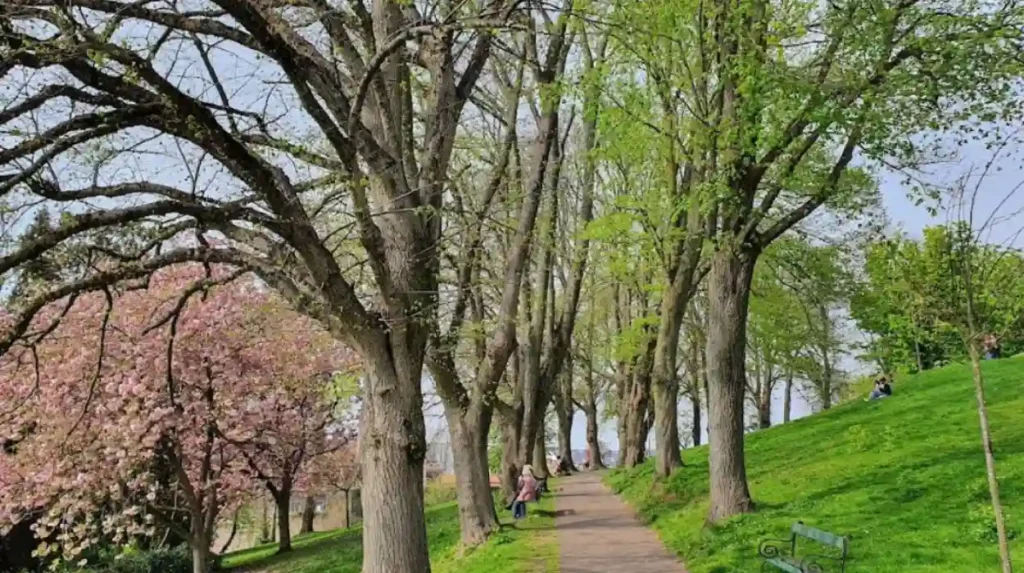 Why do Bristol parks matter now?