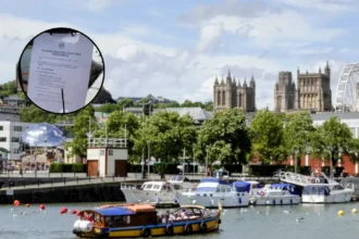 Avian Botulism Warning Issued Around Bristol Harbour 2026