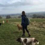 Best Dog Walks in Bristol Parks, Woodlands & Routes 2026