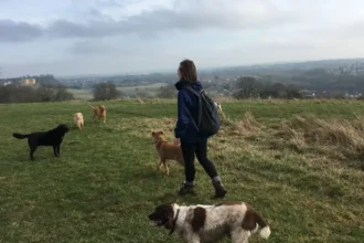 Best Dog Walks in Bristol Parks, Woodlands & Routes 2026