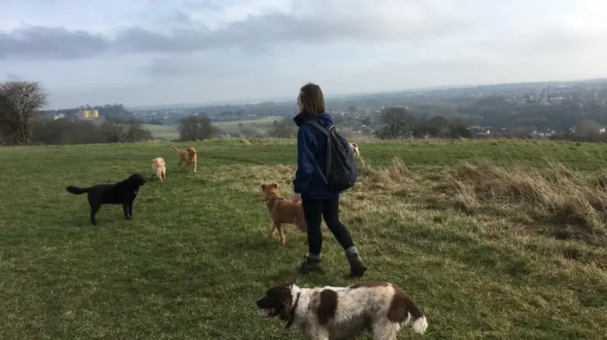 Best Dog Walks in Bristol Parks, Woodlands & Routes 2026