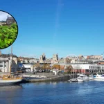 Bristol Named Japanese Knotweed Capital of England in 2026