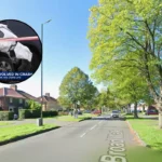 Man Dies After Van Hits Parked Cars in Knowle 2026