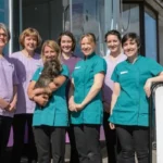Vets in Bristol Veterinary Care, Clinics & Emergencies 2026