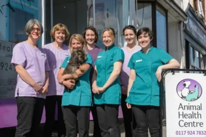 Vets in Bristol Veterinary Care, Clinics & Emergencies 2026