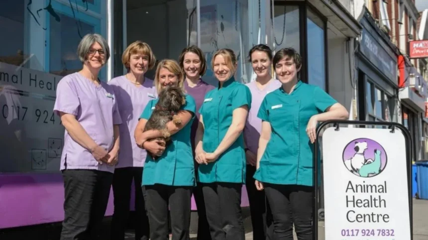 Vets in Bristol Veterinary Care, Clinics & Emergencies 2026