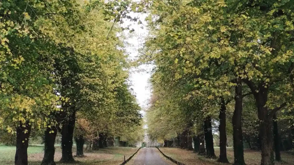 Why will woodland walks in Bristol stay relevant?