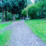 Woodland Walks in Bristol: Best Trails, Estates and Routes