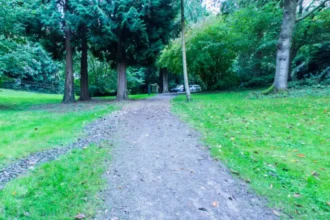 Woodland Walks in Bristol: Best Trails, Estates and Routes