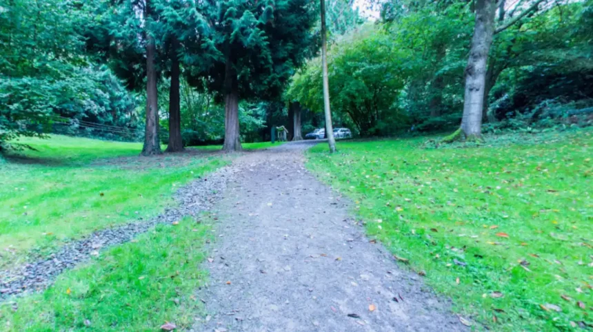 Woodland Walks in Bristol: Best Trails, Estates and Routes