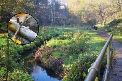 Brislington Brook Pollution Kills Fish and Wildlife in St Anne's 2026