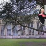 Bristol Temple Quarter Triple Opening Transforms West of England, Bristol 2026