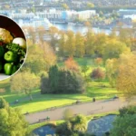 Bristol Veterinary Surgeon Grows Giant Vegetables Like Sport, Bristol 2026