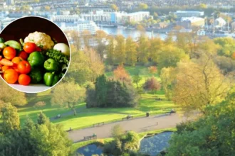Bristol Veterinary Surgeon Grows Giant Vegetables Like Sport, Bristol 2026
