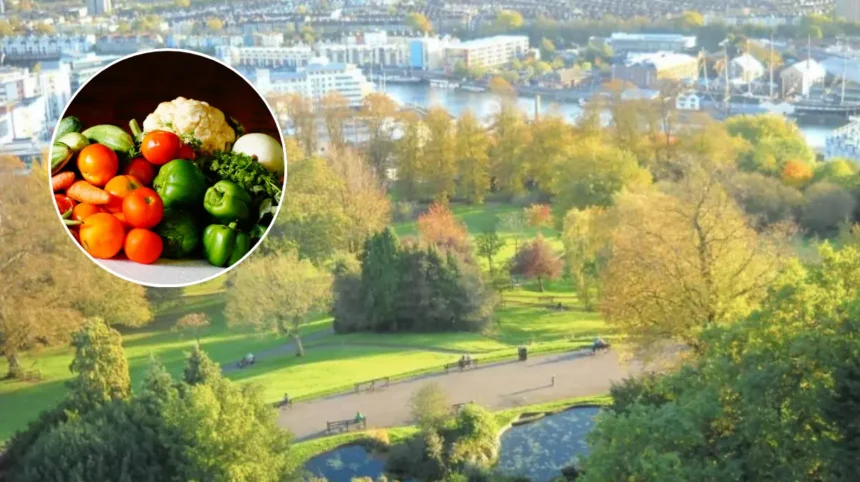 Bristol Veterinary Surgeon Grows Giant Vegetables Like Sport, Bristol 2026