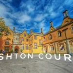 Exploring Autumn Walks and Dog-Friendly Cafes at Ashton Court, Bristol 2026