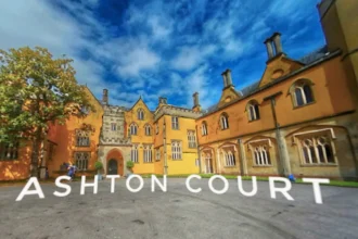 Exploring Autumn Walks and Dog-Friendly Cafes at Ashton Court, Bristol 2026