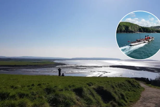 Historic PS Waverley Paddle Steamer Voyage From Clevedon 2026
