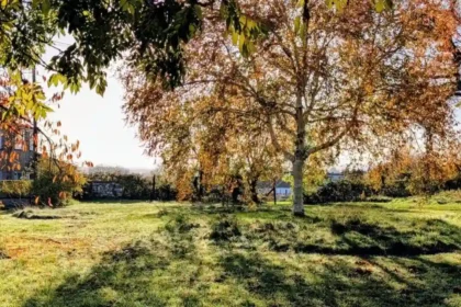 Horfield Area Guide History, Homes, Parks and Local Life