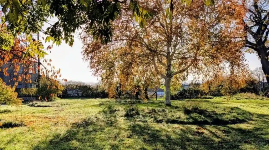 Horfield Area Guide History, Homes, Parks and Local Life