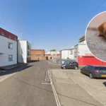 Housing Block Residents Plagued By Severe Rat Infestation In Bedminster 2026
