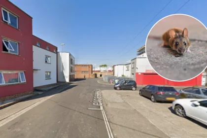 Housing Block Residents Plagued By Severe Rat Infestation In Bedminster 2026
