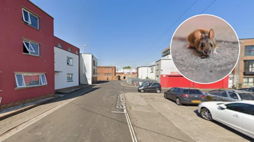 Housing Block Residents Plagued By Severe Rat Infestation In Bedminster 2026