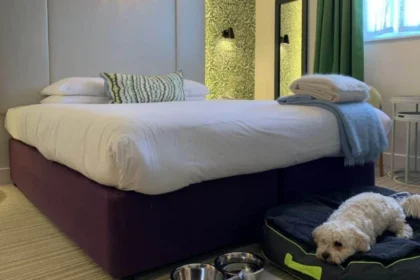 Pet-Friendly Accommodation in Bristol Complete Guide 2026