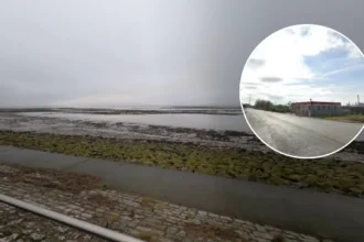 Transport Firm Seeks Licence Variation for Severn Beach Area, Bristol 2026