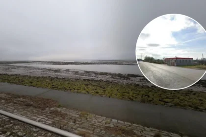Transport Firm Seeks Licence Variation for Severn Beach Area, Bristol 2026