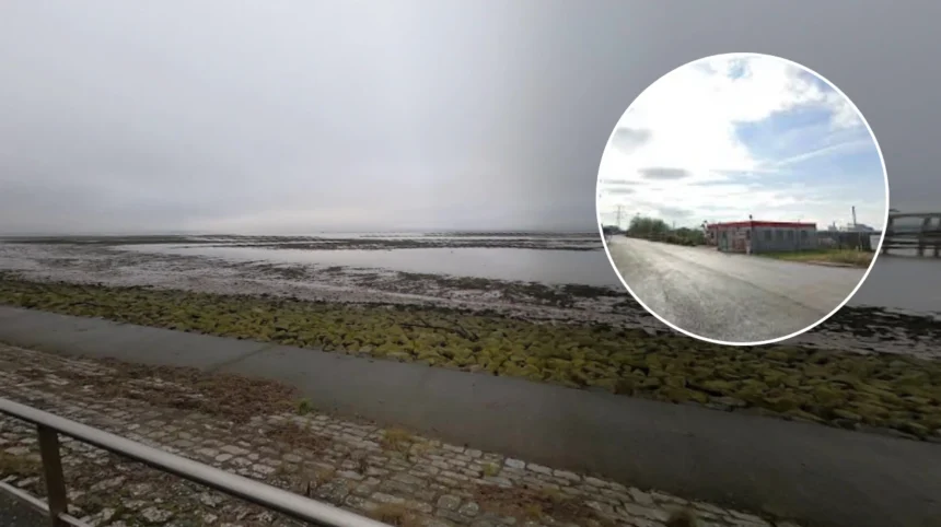 Transport Firm Seeks Licence Variation for Severn Beach Area, Bristol 2026