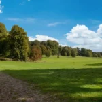 Best Dog Walks Near Bristol_ Parks and Woodland Trails
