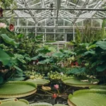 Best Gardens in Bristol_ Top Botanical and Historic Green Spaces